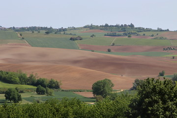 Fototapeta premium Lower Monferrato (Piedmont, Italy)