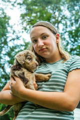 teenage girl holds and snuggles with new labradoodle puppies before they will be adopted by their new owner.