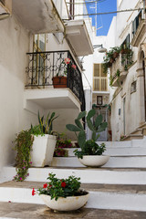 Fototapeta na wymiar Balcony with flowers: Vico Antonio Fratti, a picturesque alley in Ostuni, Puglia, Italy
