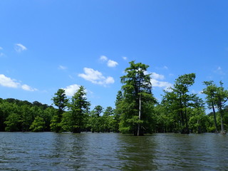 Landscape photo of a lake with trees and a blue sky.