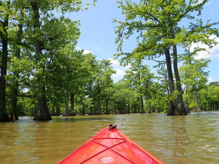 Red Kayak on lake