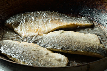Sea bass fillet fried in a pan, seafood.