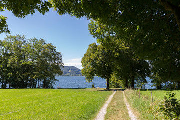 Obraz premium View of the lake and the lakeside of the Kochelsee in Bavaria