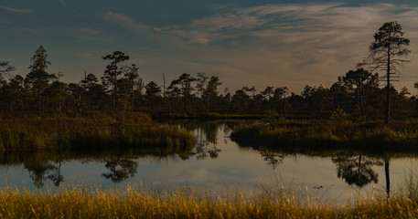 Obraz na płótnie Canvas Sunset over the swamp