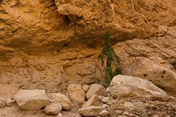 Survive the extreme conditions