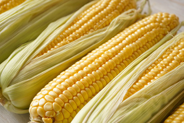 Corn on white rustic wooden background, close-up.