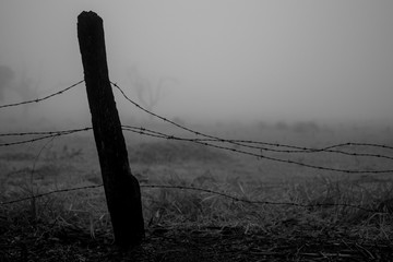 barbed wire fence in a field
