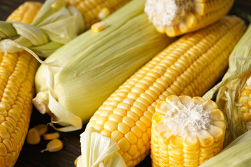Ripe ears of corn, horizontal, close-up.