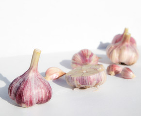 Whole garlic and cloves on a white background with space for text. Spicy food concept. Poster, menu.
