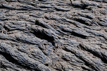 Ash pattern formed on a inside wall of a power plant boiler