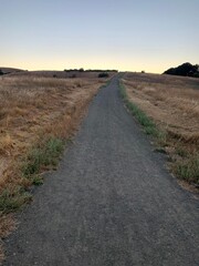 road in the desert