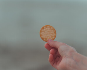 Fototapeta na wymiar hand holding a cookie