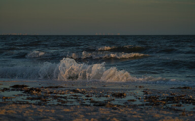 Möwen am Strand bei Sonnenuntergang in Florida, Sprudelndes Meer