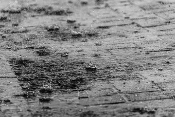 Rain drops in the pavement