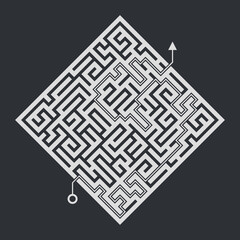 Maze success