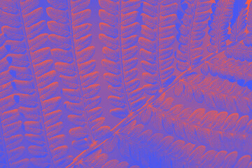 Toned background in orange and blue in the sunshine fern leaves. Fern close-up in pop art processing. Fashionable tinted wildlife.