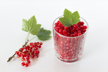 Glass full of red currant berries with decorative branch on white background.