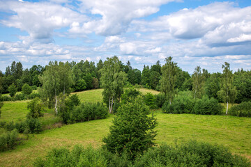 Obraz premium beautiful summer landscape