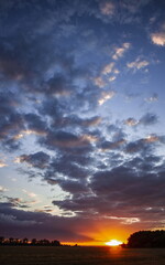 Naklejka premium sunset in the sky