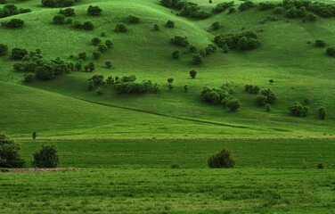 top view of picturesque green hills with trees
