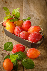 Still life with fresh organic plums on wooden background