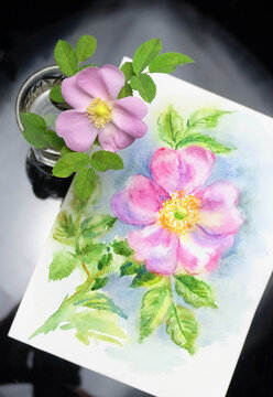 Living rosehip flower in a glass and drawing of a wild rose flower in watercolor