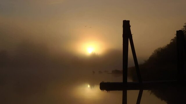 Birds Fly Toward Sunrise on the Foggy Snohomish River
