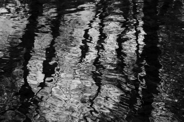 Reflections on Water