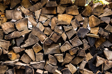 Pila de leños en una reserva natural. 