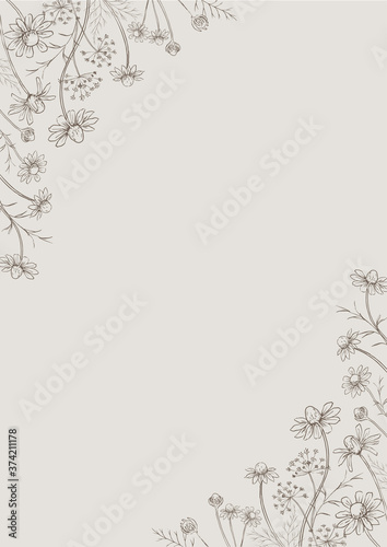 ハーブのフレーム カモミールとディル ラインアート サイズ Wall Mural Miko