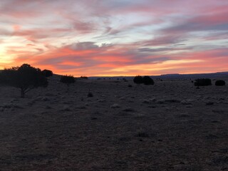 sunset in the desert