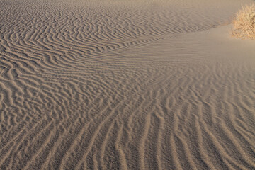 Fototapeta na wymiar Windblown Patterns Formed in the Sand on the Mesquite Flat Sand Dunes, Death Valley National Park, California, USA