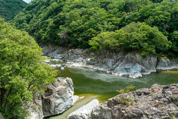 Summer hiking on a discontinued train-line between Takedao and Namaze in Hyogo prefecture in Japan