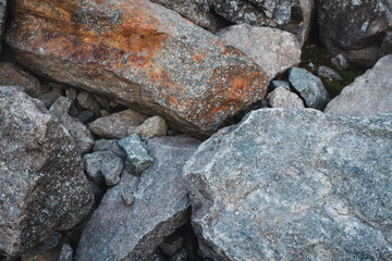 Close up of stones and rock with mosses and lichens. Arctic flora.