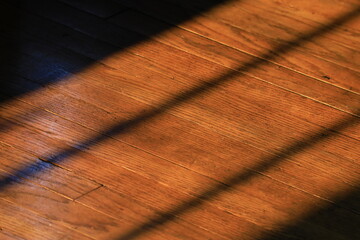 Shadow on a hardwood floor