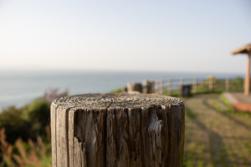 wooden fence on the beach