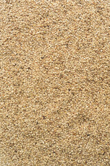 Many sesame seeds, Top view