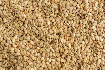 Many sesame seeds, Top view