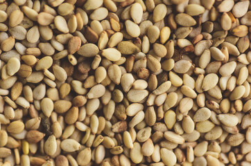 Macro close up of sesame seeds, Selective focus