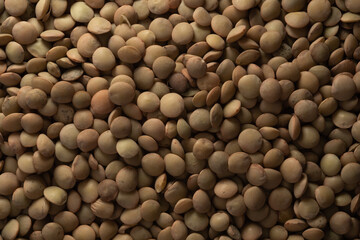 Many Raw Organic Lentils , Top view