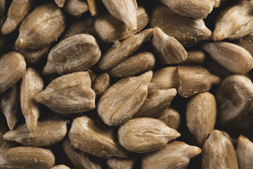 Sunflower seeds macro close up