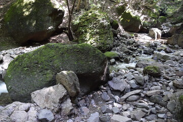 山中の沢のほとり