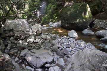 山中の沢のほとり