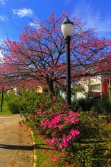 street lamp and flowers
