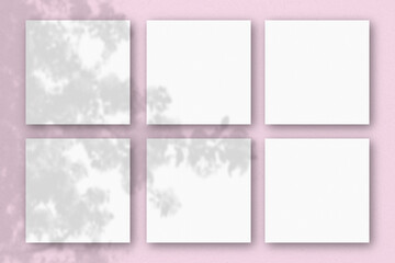 6 square sheets of white textured paper on the pink wall background. Mockup overlay with the plant...