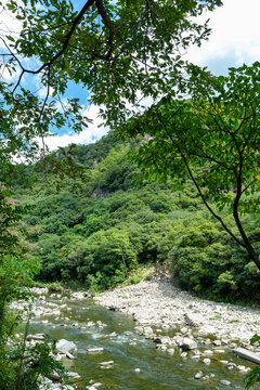 Summer view of Muko-river in Hyogo prefecture, Japan