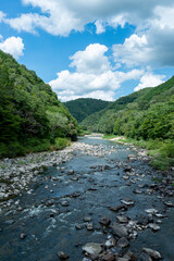Summer view of Muko-river in Hyogo prefecture, Japan