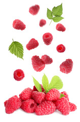 Fresh ripe raspberries with green leaves falling on white background