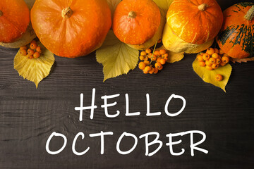 Hello October text, pumpkins on dark wooden background, flat lay