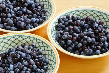 Bowls of fresh wild Maine blueberries